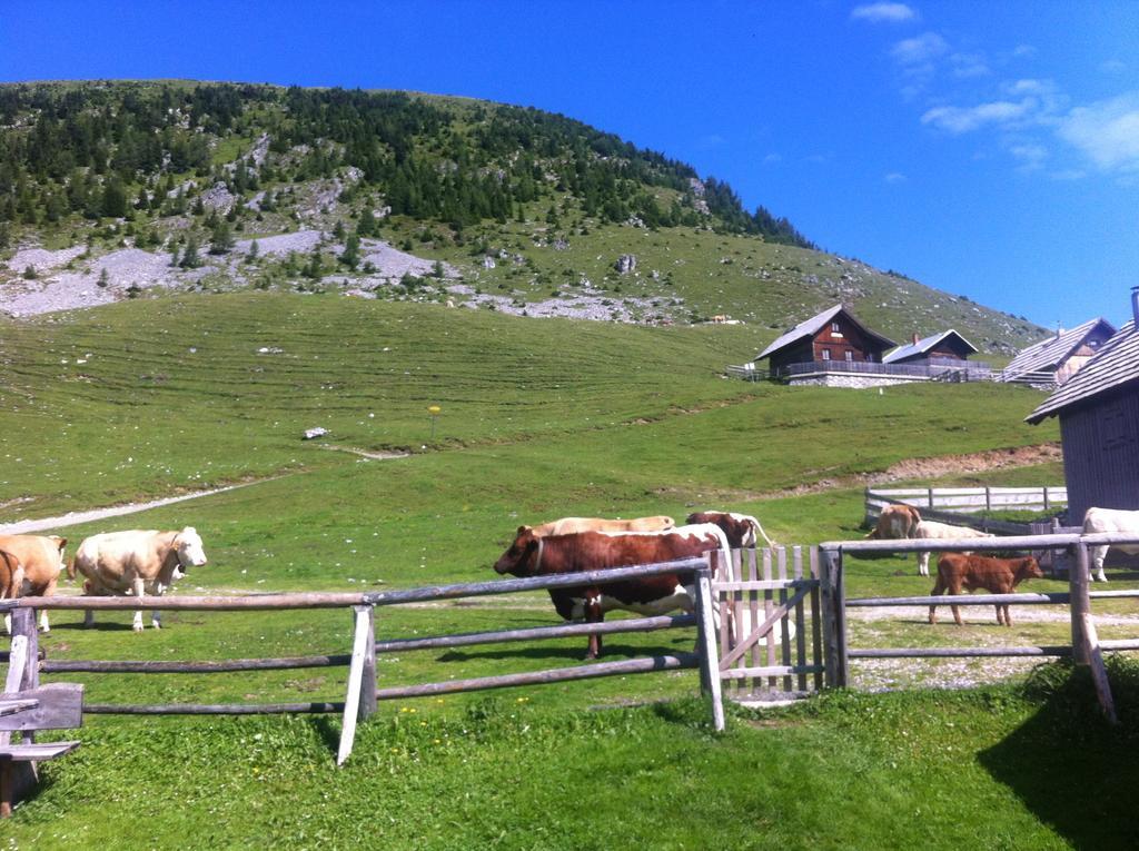 Hotel Alte Post Feistritz an der Gail
